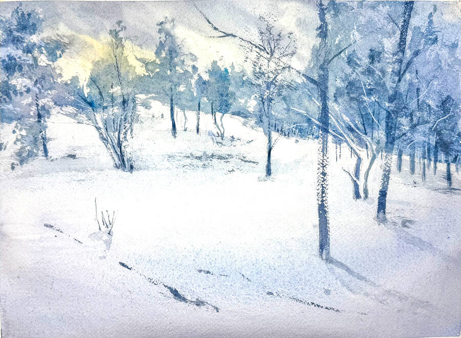 Vinter i Humlan