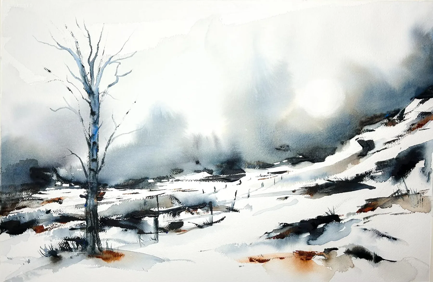 Blek februarisol i landskap som just börjat töa.