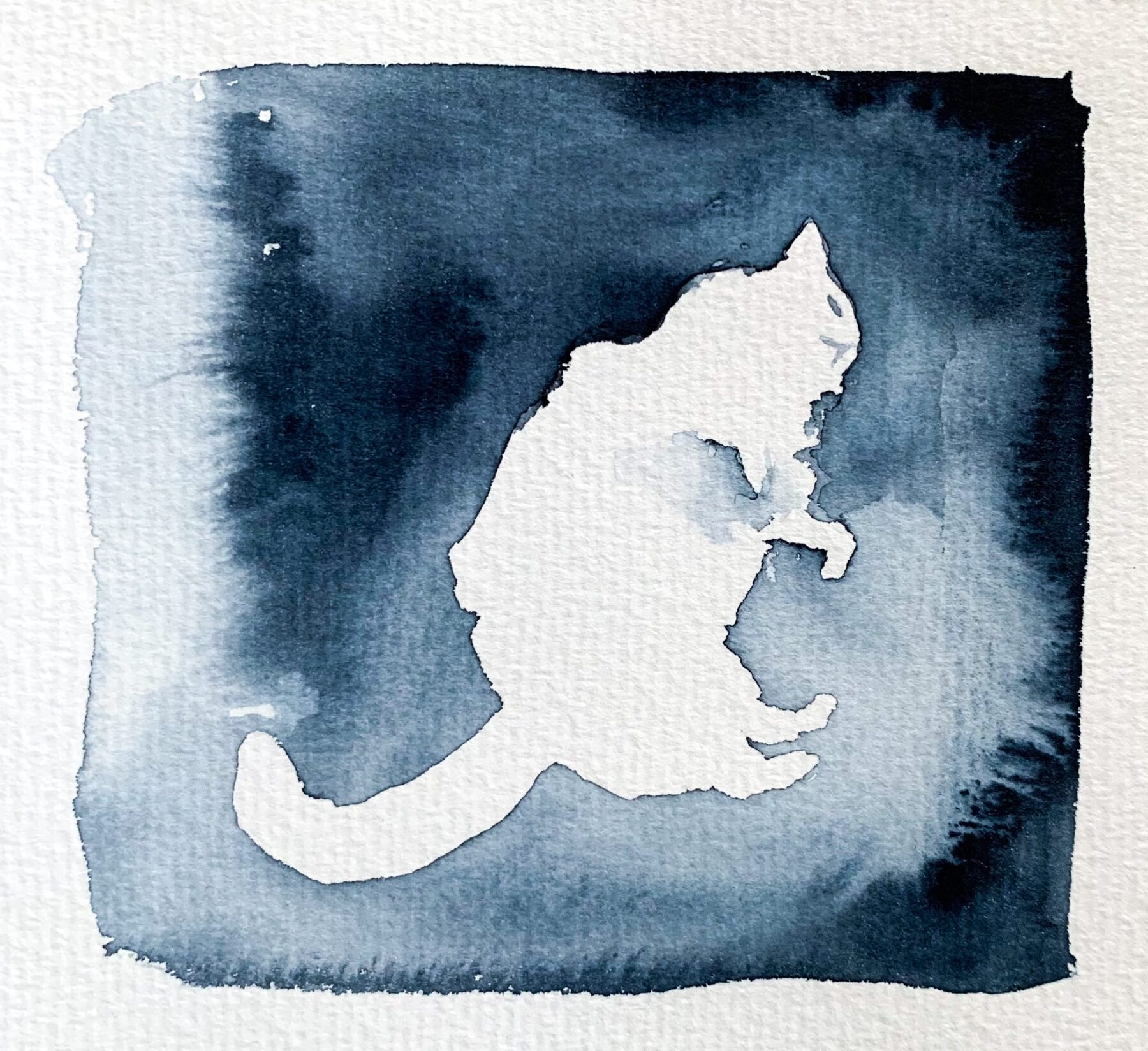 Lilla katten soveer 2