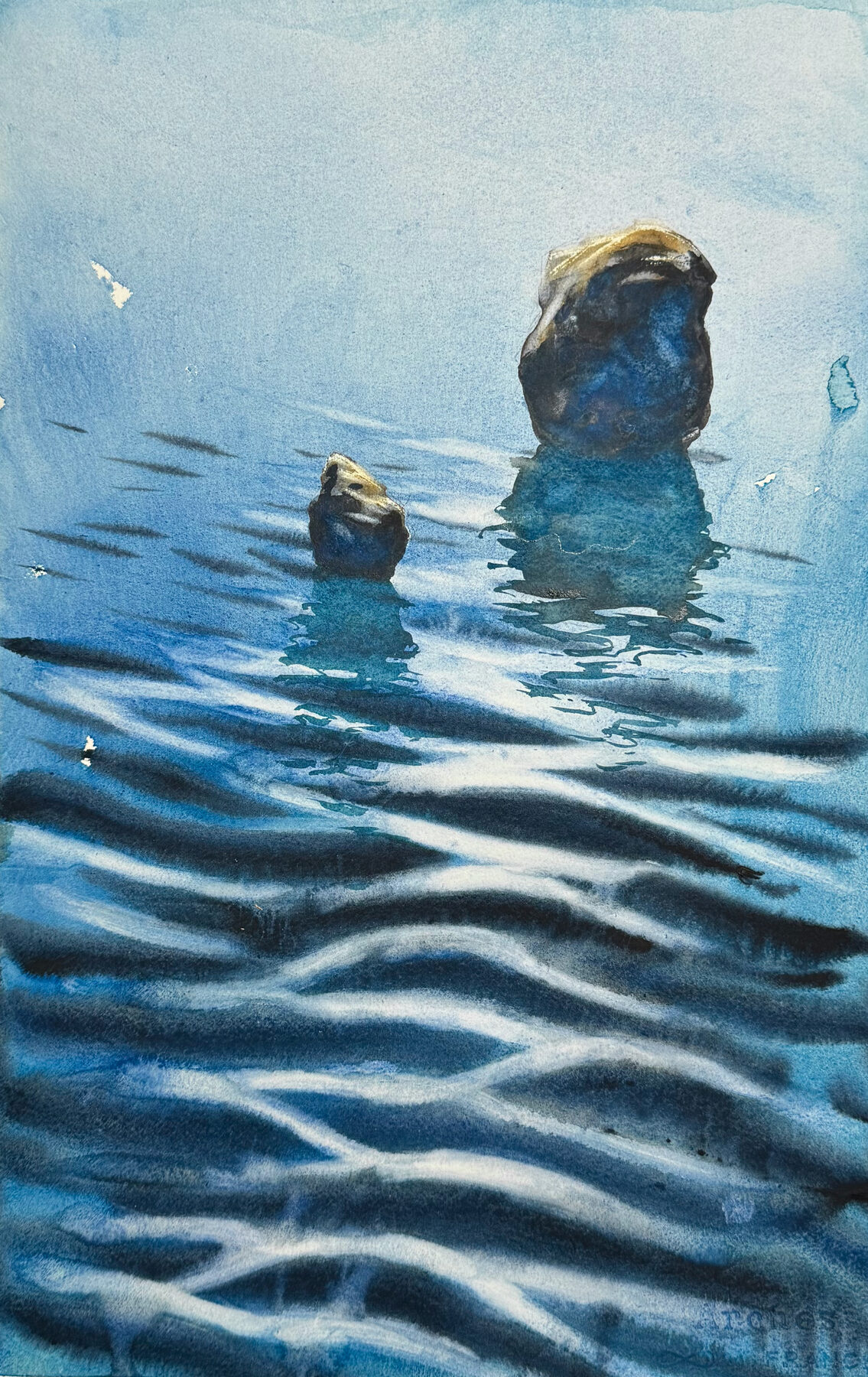 Två havsklippor
